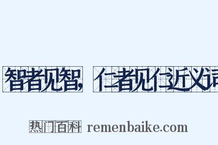 智者见智，仁者见仁近义词是什么意思的图片